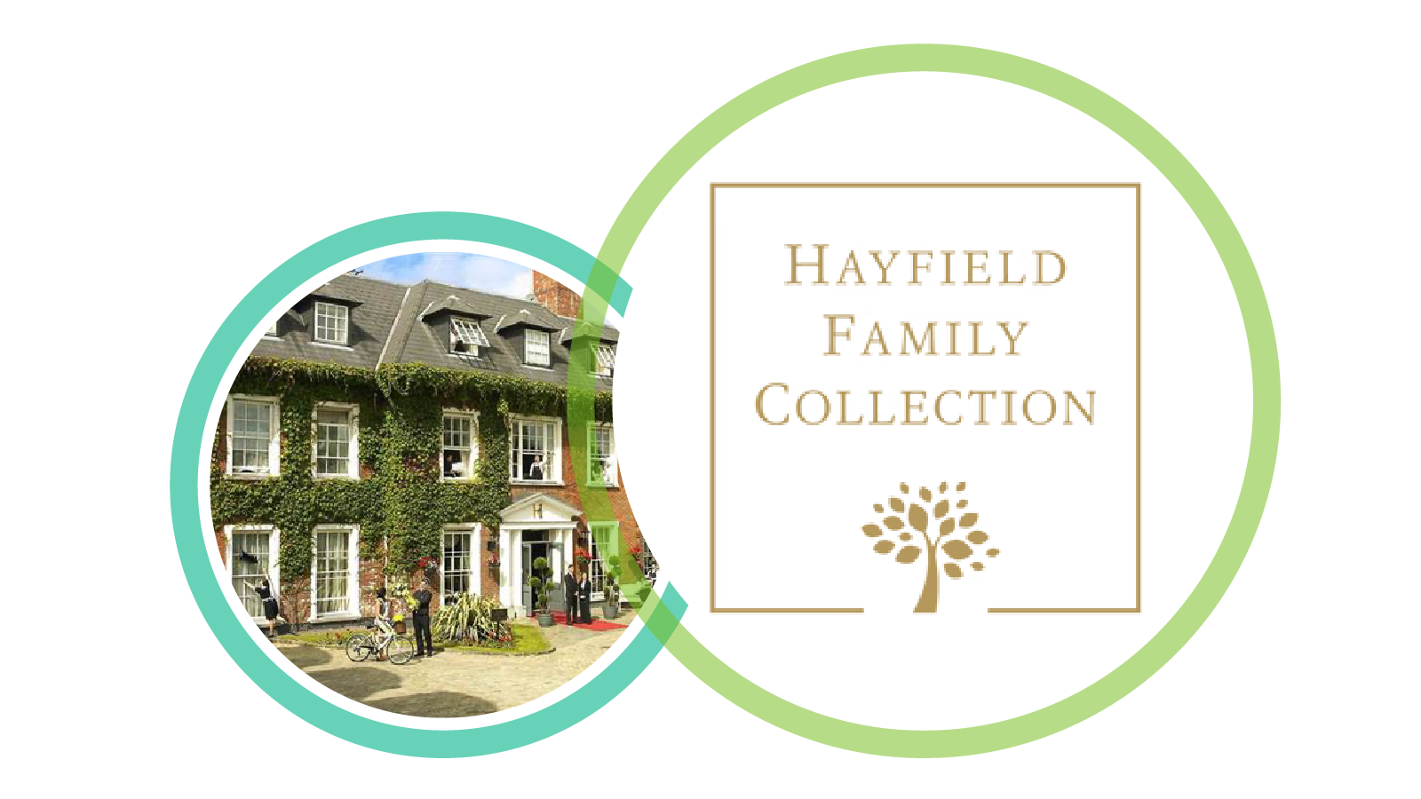 Hayfield Family Collection Challenge