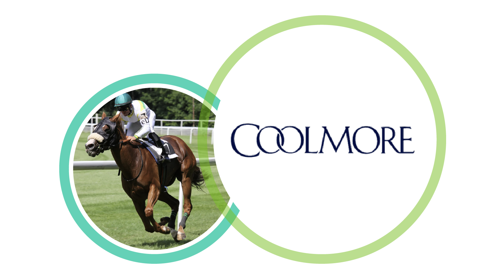 Coolmore Stud Challenge