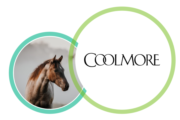 Coolmore Stud Challenge