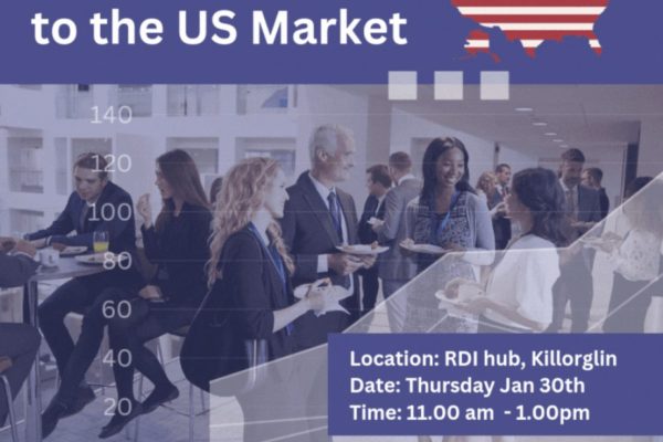 Navigating US Market Entry